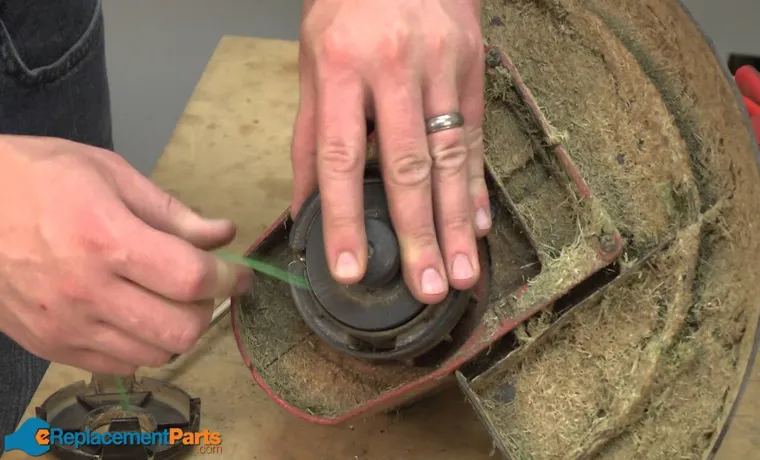 How to Replace Spool on Toro Weed Trimmer – Step-by-Step Guide