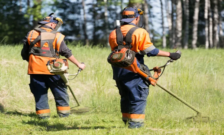 How to Use a Weed Trimmer: The Ultimate Guide