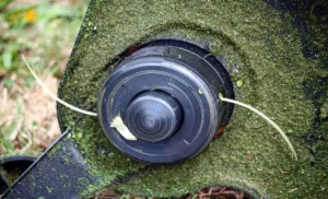 How to Weed Eat with a String Trimmer: Essential Tips and Techniques