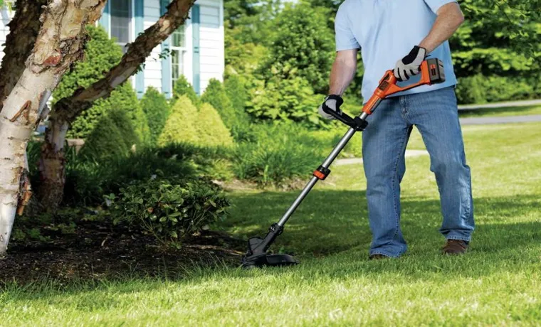 What is the Best Battery Powered Weed Trimmer for Efficient Yard Maintenance?