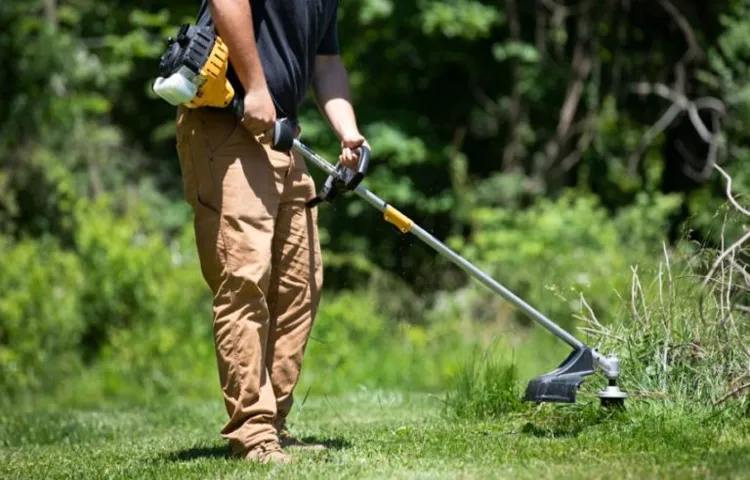 what's the difference between a weed eater and a trimmer