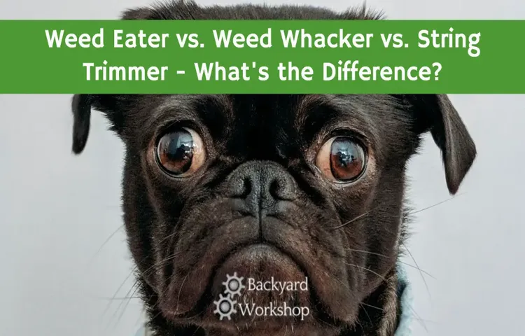 What’s the Difference Between a Weed Eater and a Trimmer? Unraveling the Confusion!