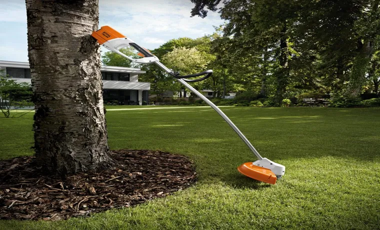 Which Stihl Weed Trimmer is Best for You? Find the Perfect Fit