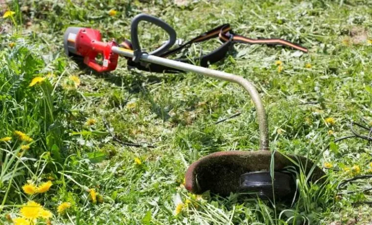 which weed trimmer do pros use