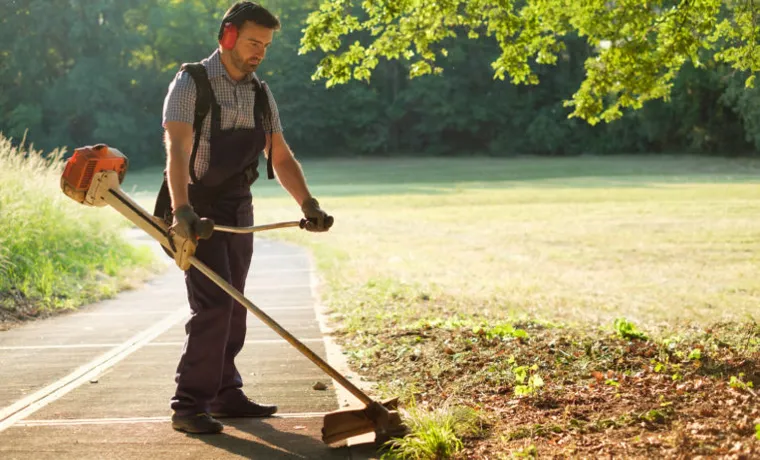 why you need a weed trimmer