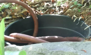 Can Garden Hose be Buried? Pros and Cons of Burying Garden Hoses