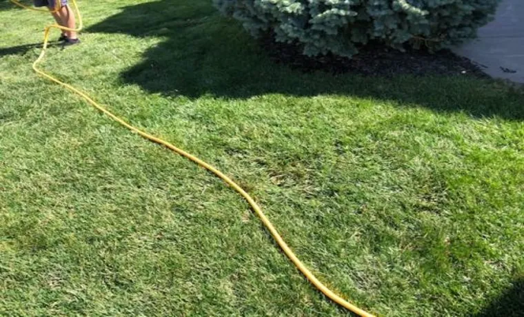 Can I Bury Garden Hose? Explore Proper Techniques and Tips for Underground Hose Installation