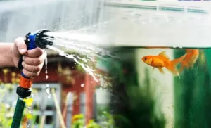 Can I Use a Garden Hose to Fill My Aquarium? | The Pros and Cons