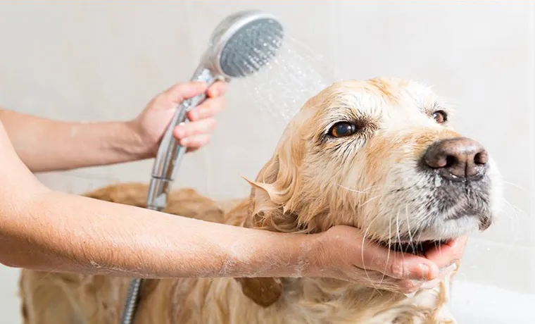 can you wash a dog with a garden hose