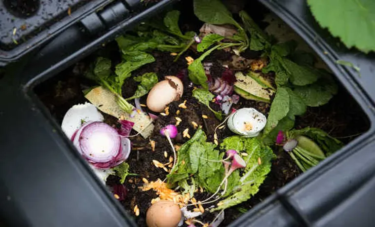 Compost Bin: What Can Go In? A Comprehensive Guide to Maximizing Your Garden’s Potential