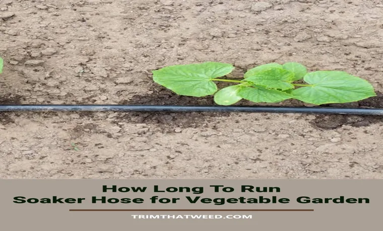 how long to run soaker hose for vegetable garden