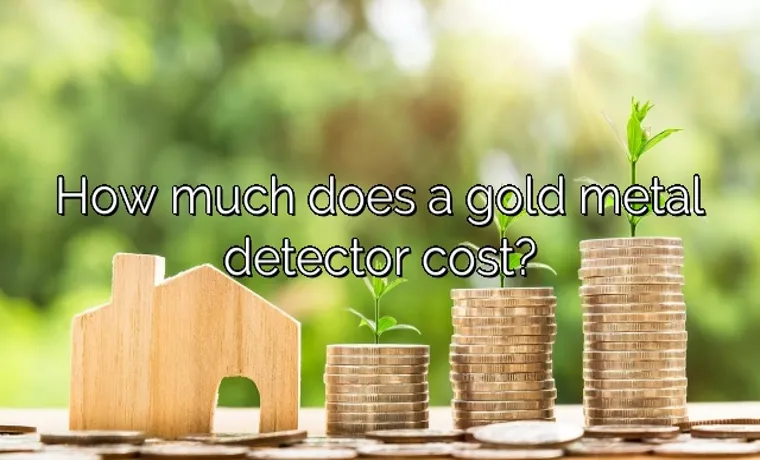 how much does a metal detector cost for a school