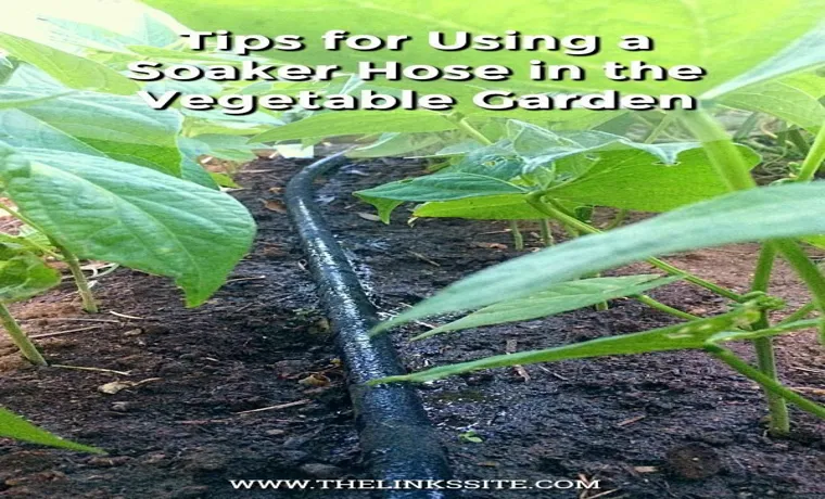 how often to water vegetable garden with soaker hose