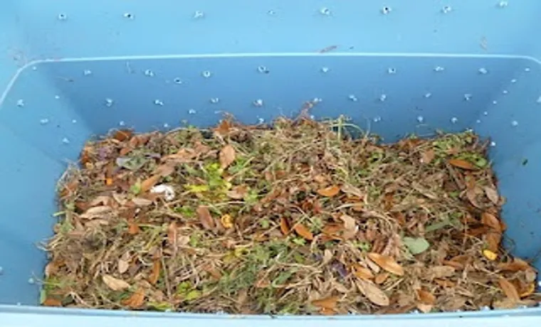 how to begin a compost bin