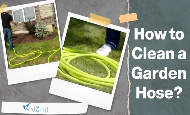 how to clean out a garden hose