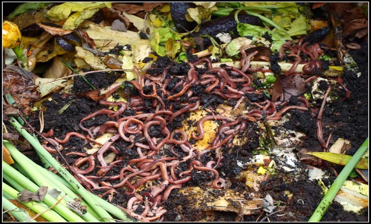 How to Compost with Worms in a Bin: A Beginner’s Guide
