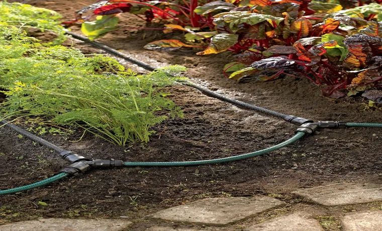 How to Connect a Drip Line to a Garden Hose: A Step-by-Step Guide