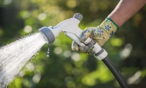 How to Get More Pressure from Your Garden Hose: 5 Easy Tips