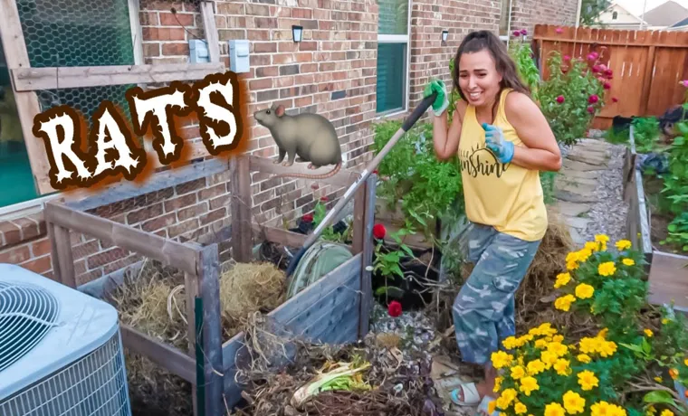 How to Get Rats Out of Compost Bin: A Step-by-Step Guide