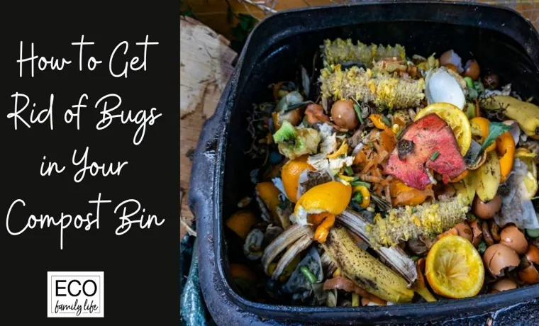 how to get rid of bugs in compost bin