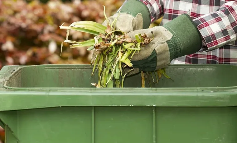 How to Get Rid of Bugs in Compost Bin: Effective Solutions