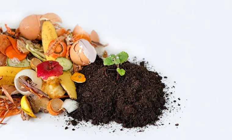 How to Get Rid of Fruit Flies from Compost Bin: 8 Effective Methods