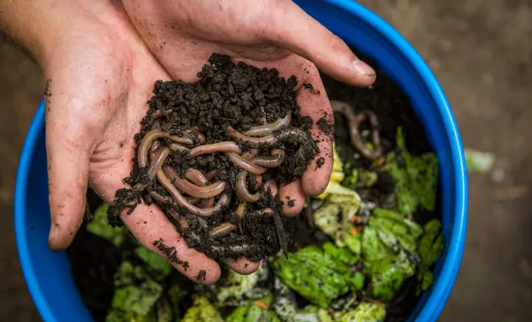 how to get rid of worms in compost bin