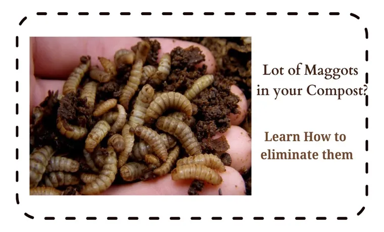 How to Get Rid of Worms in Compost Bin: Effective Solutions and Tips