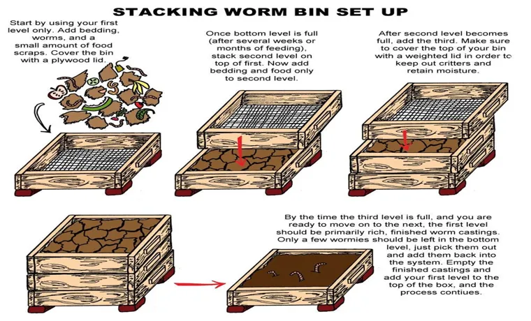 how to harvest compost from worm bin