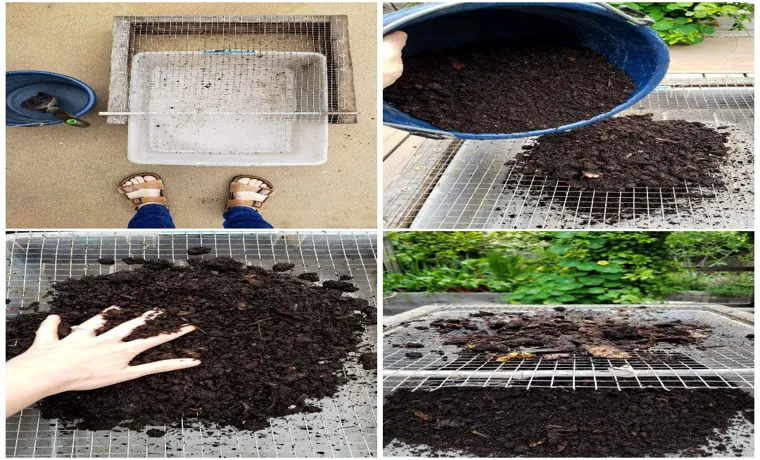 How to Harvest Compost from Worm Bin: 7 Simple Steps for Success