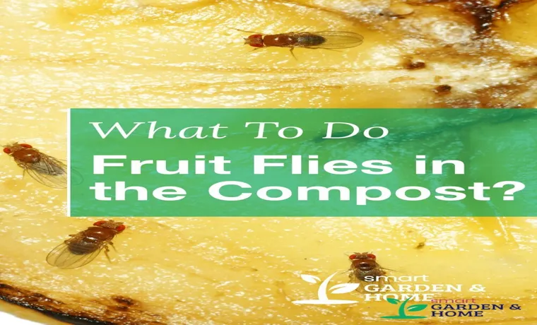 How to Keep Flies Away from Compost Bin: 8 Effective Tips and Tricks