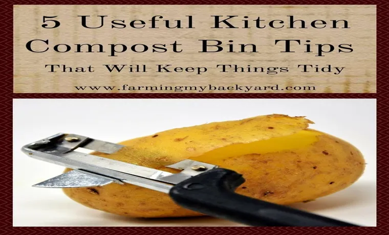 How to Keep Outdoor Compost Bin from Smelling: Top Tips and Tricks