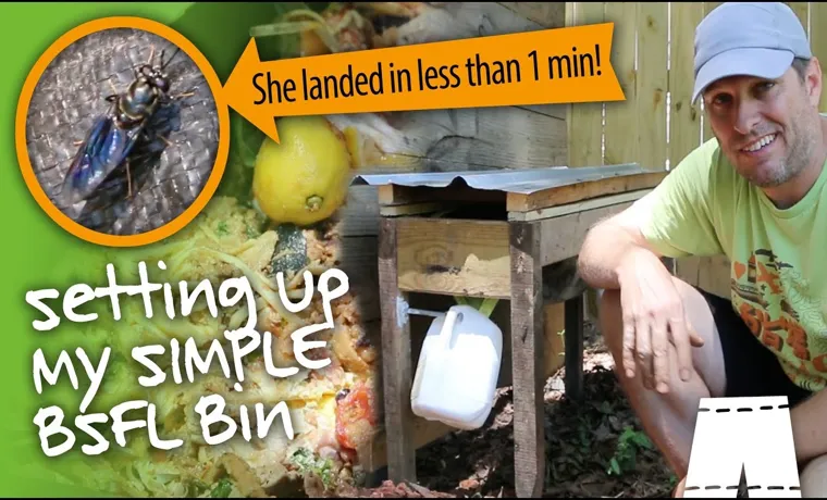 how to kill flies in compost bin