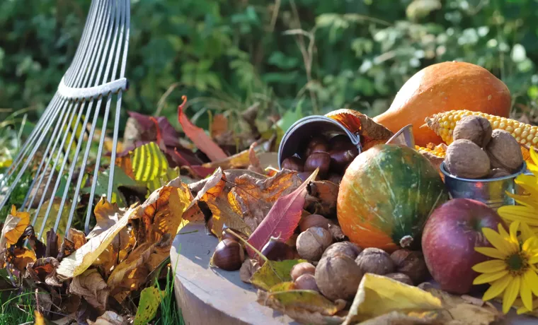How to Layer Your Compost Bin: A Step-by-Step Guide