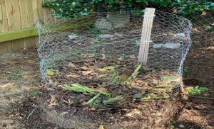 How to Maintain a Compost Bin: Essential Tips and Tricks