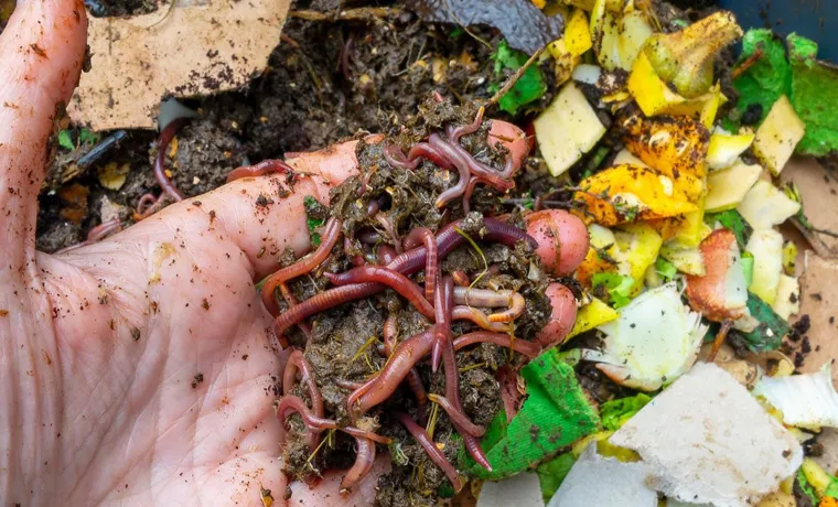 How to Make a Compost Bin for Worms: A Step-by-Step Guide
