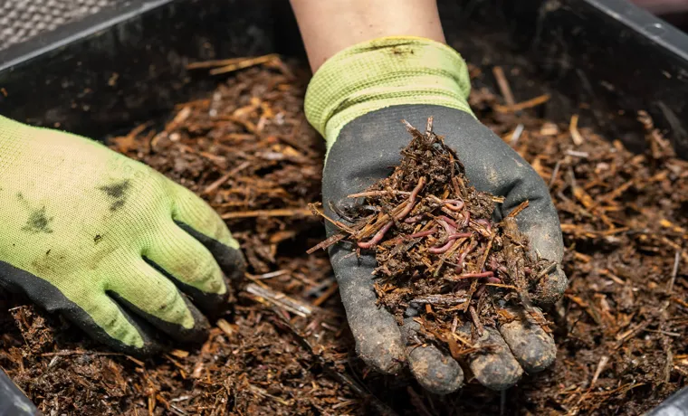 how to make an earthworm compost bin