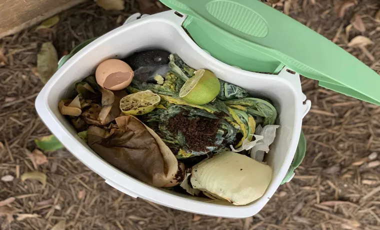 How to Prevent Mold in Compost Bin: Essential Tips and Tricks