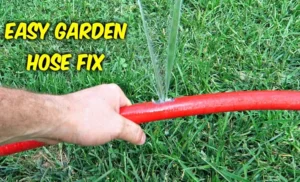 How to Repair a Hole in a Garden Hose: Quick and Easy Solutions