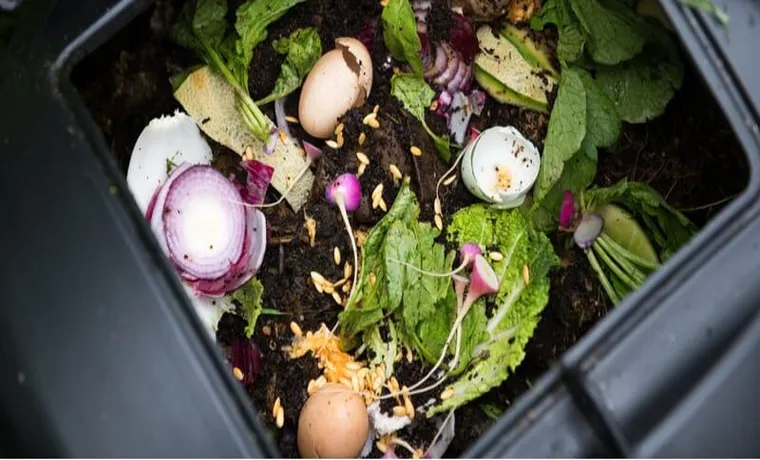 How to Request a Compost Bin: A Step-by-Step Guide for Your Green Garden