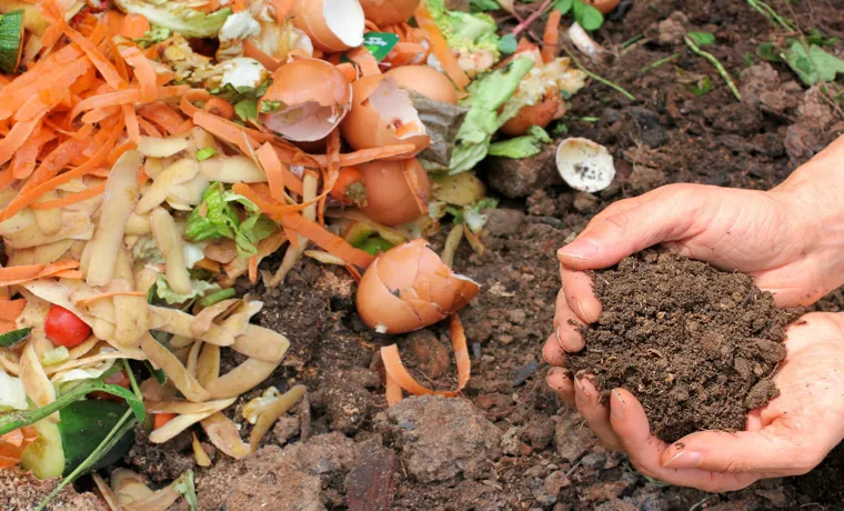 how to start a compost bin