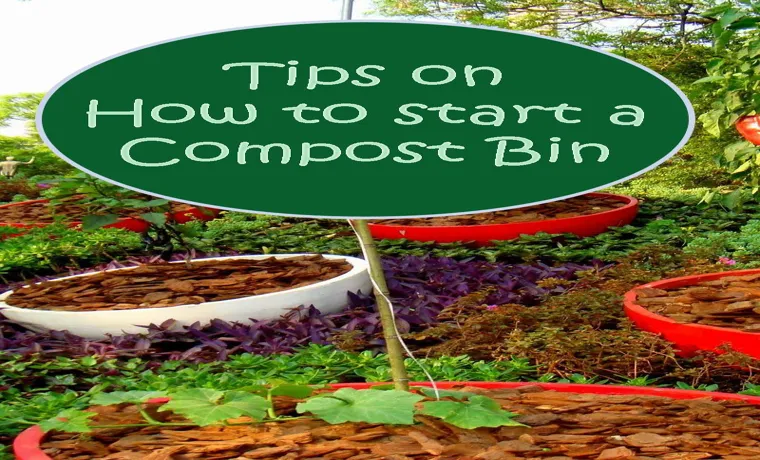 how to start a compost bin at home