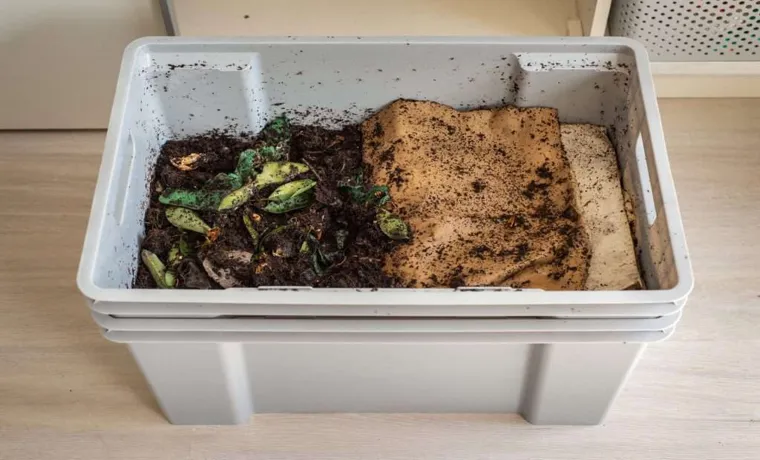 How to Start a Compost Bin with Worms: A Step-by-Step Guide