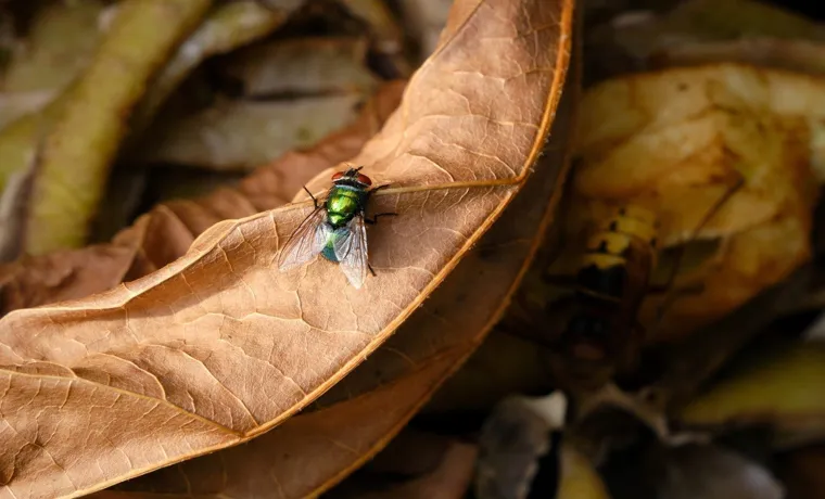 How to Stop Flies in Compost Bin: Effective Strategies and Prevention Tips