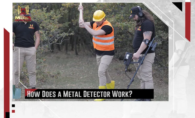 Metal Detector: How Does It Work and What Are Its Uses?