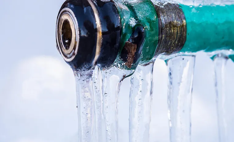 should you disconnect garden hose in winter