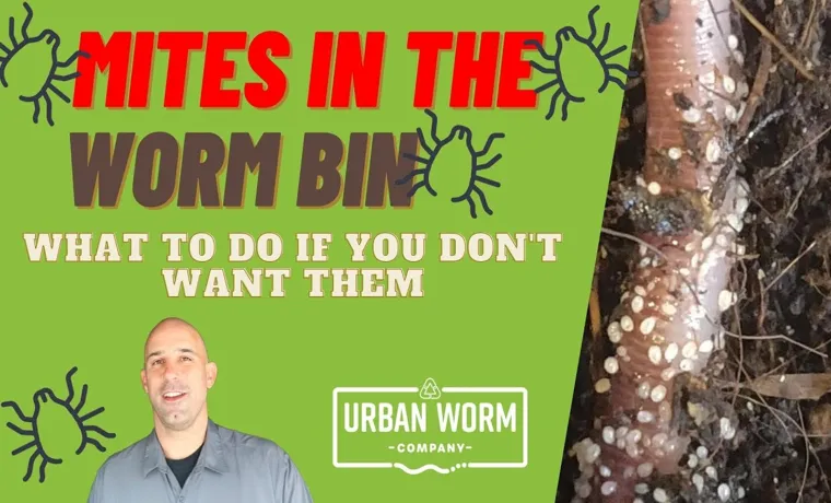 What Are Compost Bin Mites Called? Discover the Fascinating World of These Tiny Decomposers