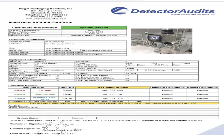 what do metal detector check for