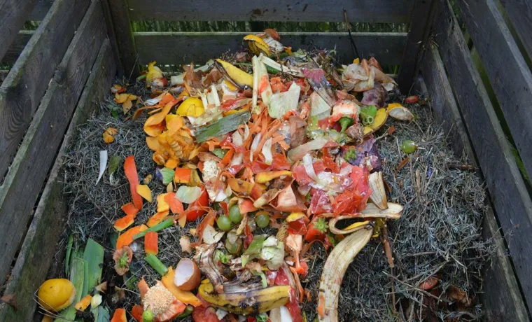 what do you put in compost bin