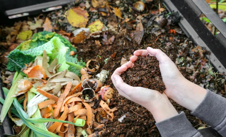 What Does a Compost Bin Do: The Ultimate Guide to Effective Recycling